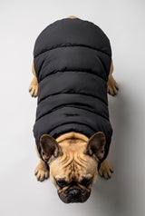 Puff-O Pet Puffer Jacket #color_black
