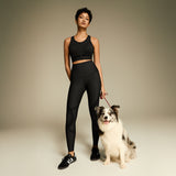 flexseam orolay collection.jpg__PID:e55934d5-f227-4120-9d29-2c0205568477