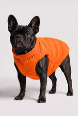 Puff-O Pet Puffer Jacket #color_Bright Marigold